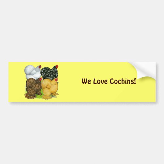 Vier Cochin Hens Autoaufkleber (Vorne)