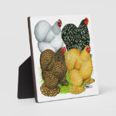 Vier Cochin Hens Fotoplatte (Vorderseite)