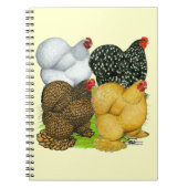 Vier Cochin Hens Notizblock (Vorderseite)