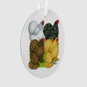 Vier Cochin Hens Ornament (Vorderseite)