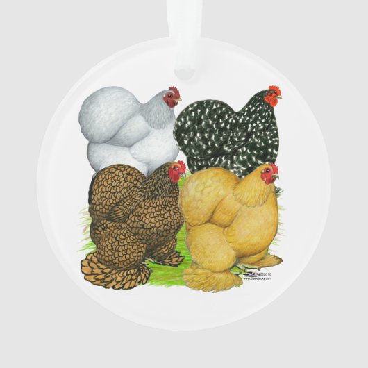 Vier Cochin Hens Ornament (Rückseite)