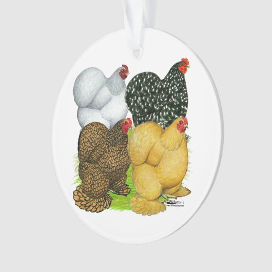Vier Cochin Hens Ornament (Vorderseite)