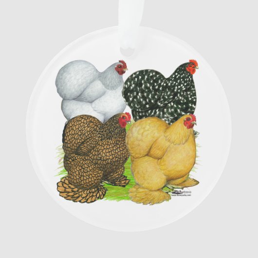 Vier Cochin Hens Ornament (Vorderseite)