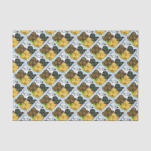 Vier Cochin Hens Seidenpapier