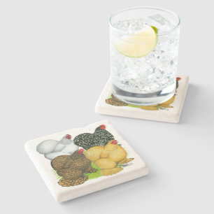 Vier Cochin Hens Steinuntersetzer