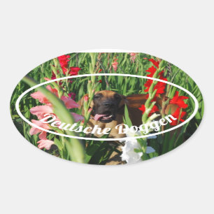 Vier Doggenaufkleber Ovaler Aufkleber