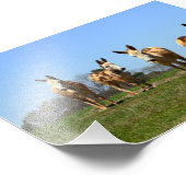 Vier Donkeys Fotodruck (Ecke)