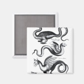 Vier Drachenarten Magnet (Vorderseite/Rückseite)
