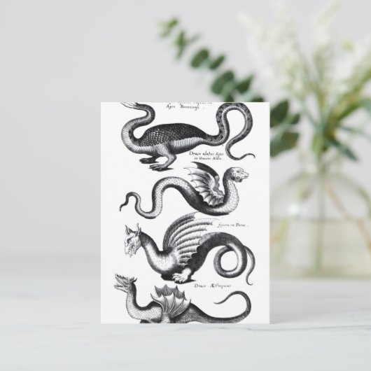 Vier Drachenarten Postkarte (Stehend Vorderseite)