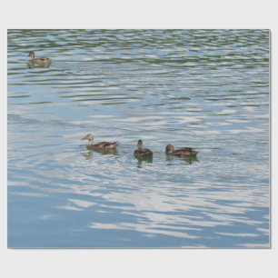 Vier Enten am Fluss Geschenkpapier