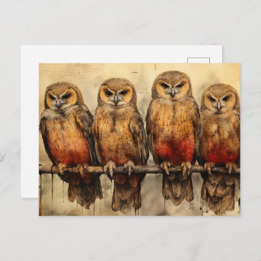 Vier Eulen Postkarte (Vorne/Hinten)