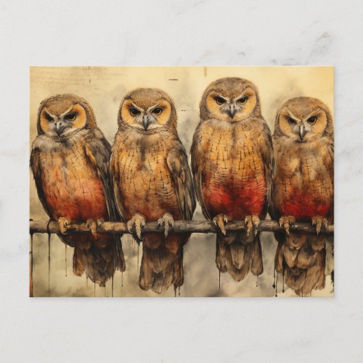 Vier Eulen Postkarte (Vorderseite)