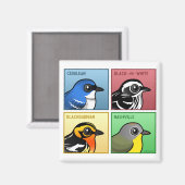 Vier Farb-Warblers Magnet (Vorderseite/Rückseite)