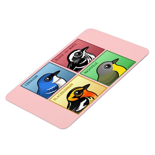 Vier Farb-Warblers Magnet (Linke Seite)