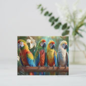 Vier farbenfrohe Papageien Postkarte (Stehend Vorderseite)