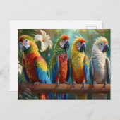 Vier farbenfrohe Papageien Postkarte (Vorne/Hinten)