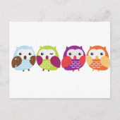 Vier farbige Eulen Postkarte (Vorderseite)