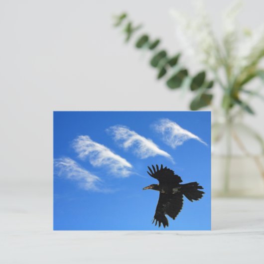 Vier Feathers Postkarte (Stehend Vorderseite)