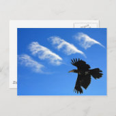 Vier Feathers Postkarte (Vorne/Hinten)