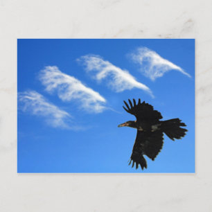 Vier Feathers Postkarte