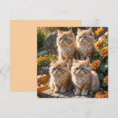 Vier flauschige Herbstkätzchen mit Pumpkins und Mu (Vorne/Hinten)