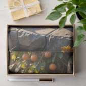 Vier flauschige Herbstkätzchen mit Pumpkins und Mu Seidenpapier (Geschenk)