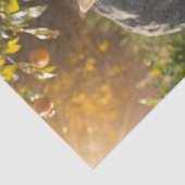 Vier flauschige Herbstkätzchen mit Pumpkins und Mu Seidenpapier (Ausschnitt)