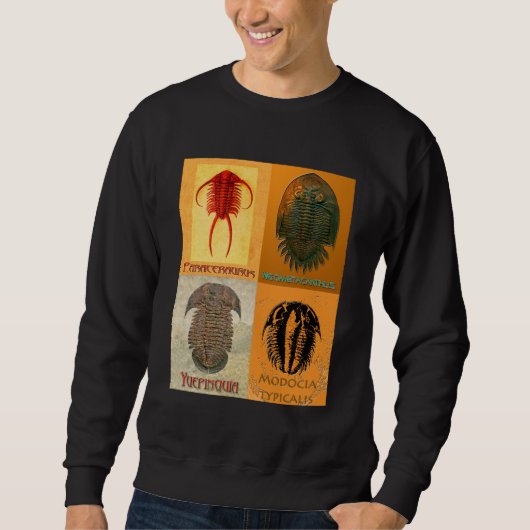Vier Fossile Trilobite Montage Sweatshirt (Vorderseite)