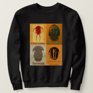 Vier fossile Trilobiten Montage Sweatshirt