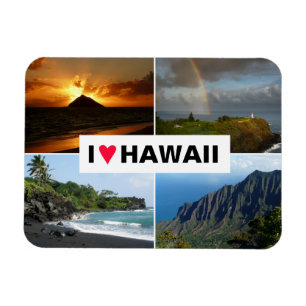 Vier Foto Hawaii-Collagenandenken Magnet