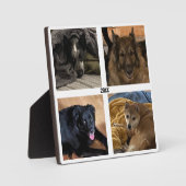 Vier Foto Standauflage Fotoplatte (Vorderseite)