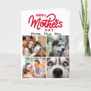 Vier Fotos benutzerdefinierte Collage für Husky Ma Dankeskarte