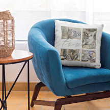 Vier Fotos Collage Liebe Haustiere Name weiß