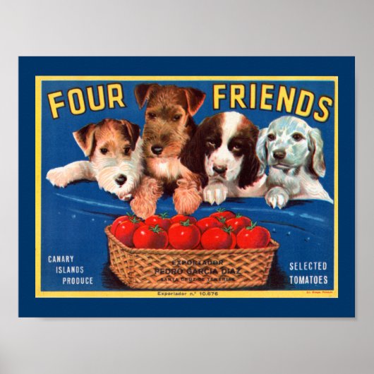 Vier Freunde Poster (Vorne)