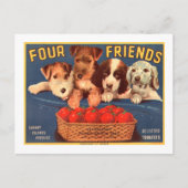 Vier Freunde Vintage Tomatenkassettenhunde Postkarte (Vorderseite)