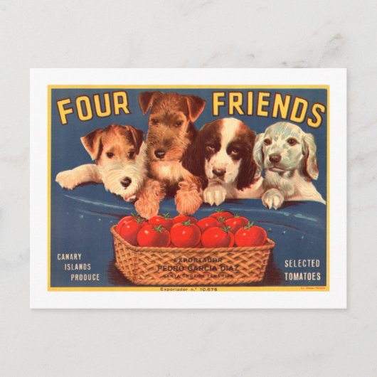 Vier Freunde Vintage Tomatenkassettenhunde Postkarte (Vorderseite)
