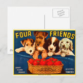 Vier Freunde Vintage Tomatenkassettenhunde Postkarte (Vorne/Hinten)