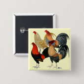 Vier Gamecocks Button (Vorne & Hinten)