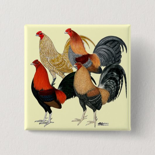 Vier Gamecocks Button (Vorderseite)