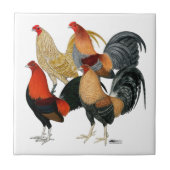 Vier Gamecocks Fliese (Vorderseite)