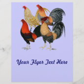 Vier Gamecocks Flyer (Vorne)