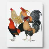 Vier Gamecocks Fotoplatte (Vorderseite)