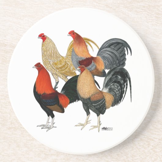 Vier Gamecocks Getränkeuntersetzer (Vorne)