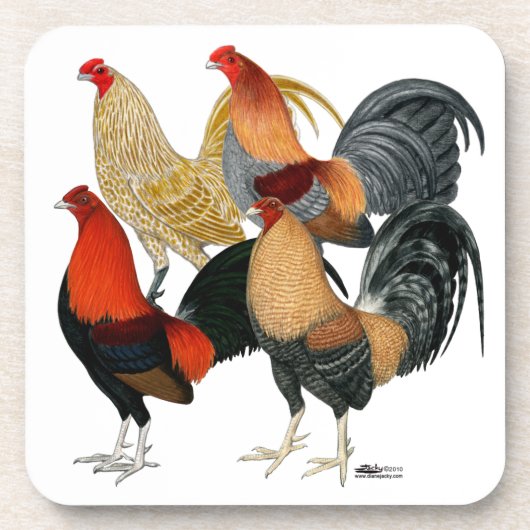 Vier Gamecocks Getränkeuntersetzer (Vorderseite)