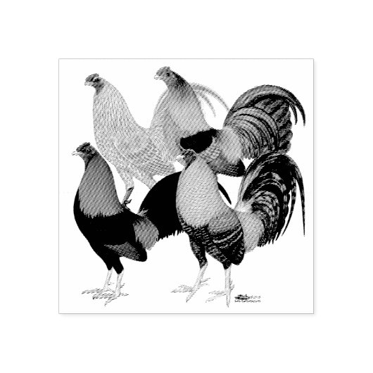 Vier Gamecocks Gummistempel (Prägung)