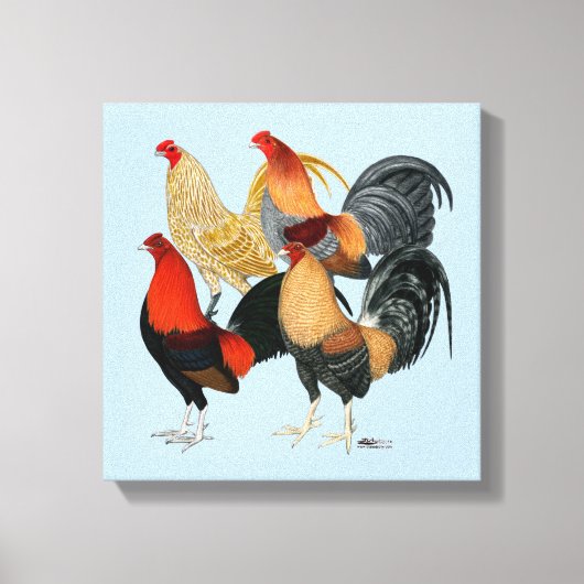 Vier Gamecocks Leinwanddruck (Vorderseite)