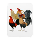 Vier Gamecocks Magnet (Vertikal)