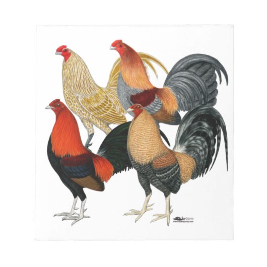 Vier Gamecocks Notizblock (Vorderseite)