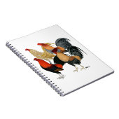 Vier Gamecocks Notizblock (Rechte Seite)