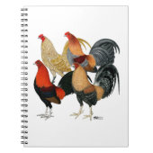 Vier Gamecocks Notizblock (Vorderseite)